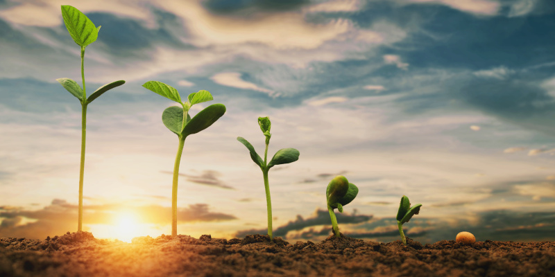 GROW with SAP mit S/4HANA Public Cloud