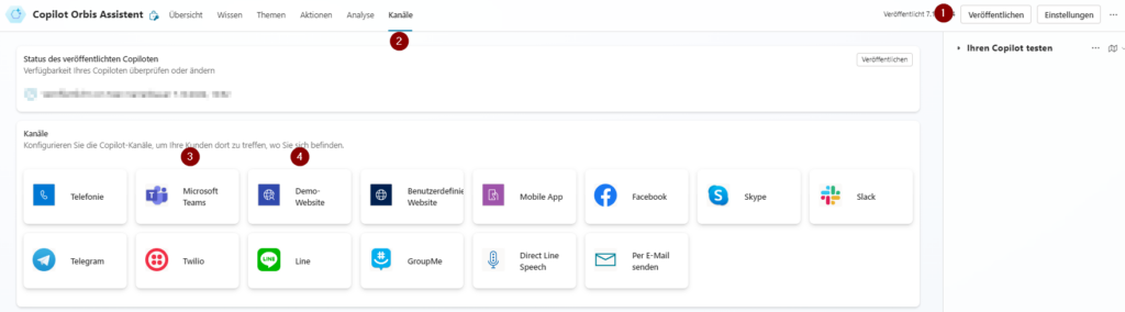 Veröffentlichen Sie Ihren persönlichen Copiloten Veröffentlichung Copilot