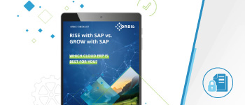 Checkliste: RISE with SAP vs. GROW with SAP Checkliste RISE vs. GROW