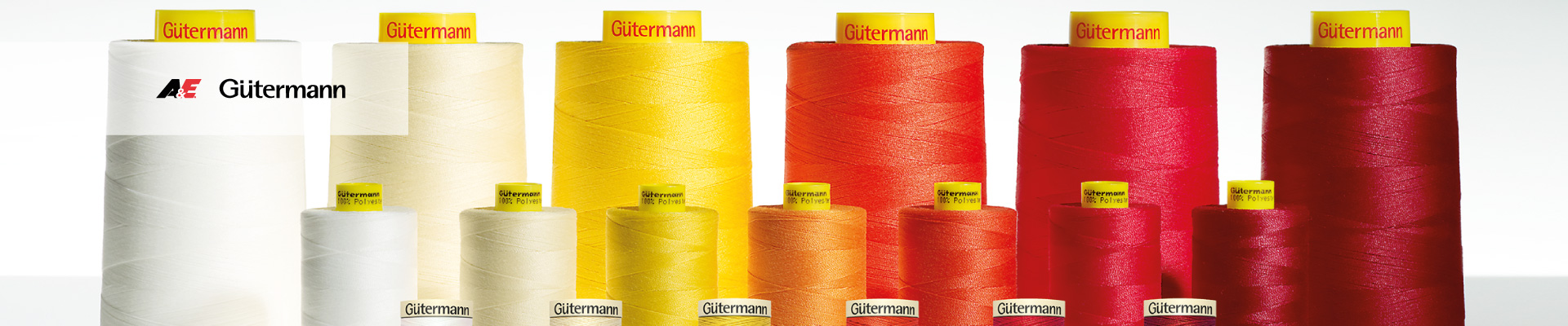 Success Story of Gütermann and ORBIS Success Story of Gütermann and ORBIS