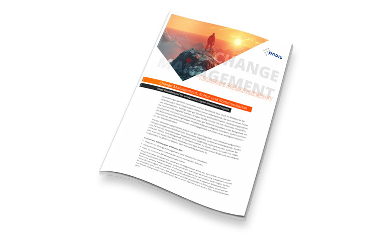 Learn from our practical example how your digital workplace project can be a resounding success Whitepaper on change management, culture and communication