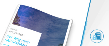 Whitepaper zum Thema SAP S/4HANA Transformation Whitepaper zum Thema SAP S/4HANA Transformation