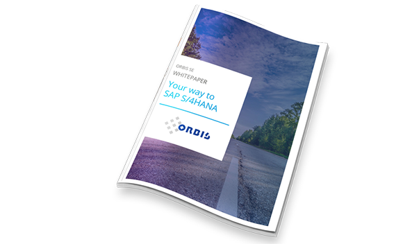 Whitepaper on SAP S/4HANA transformation Whitepaper on SAP S/4HANA transformation