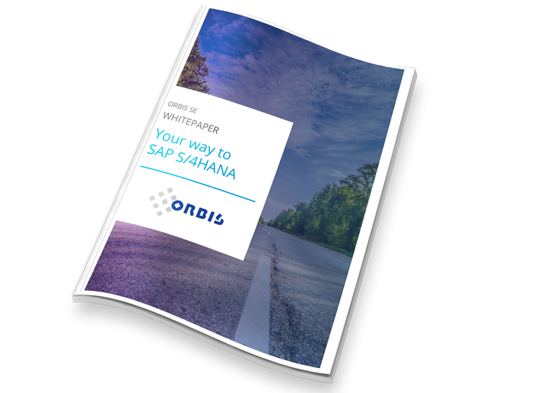 Whitepaper on SAP S/4HANA transformation Whitepaper on SAP S/4HANA transformation