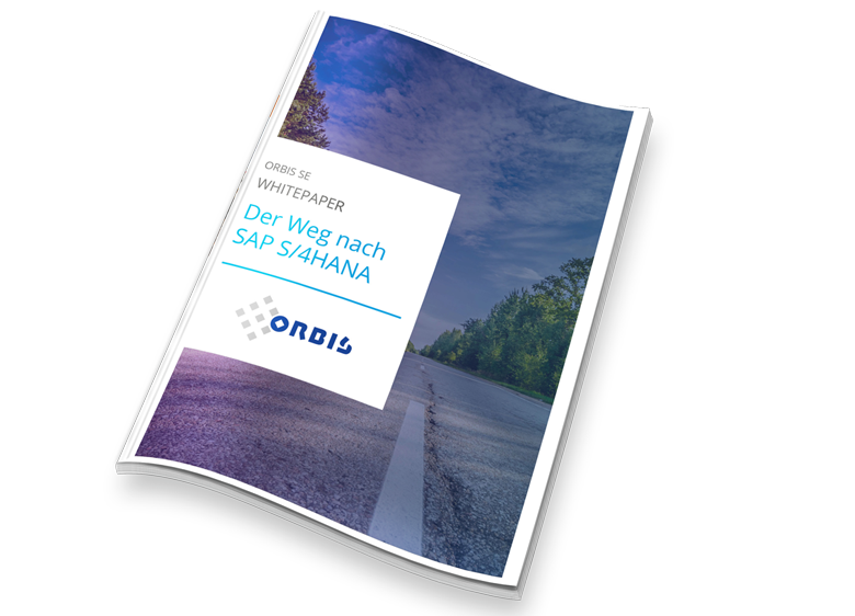 Whitepaper zum Thema SAP S/4HANA Transformation Whitepaper zum Thema SAP S/4HANA Transformation