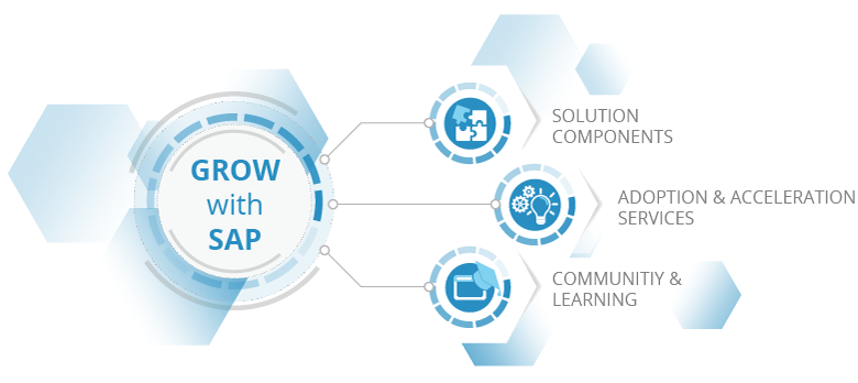 GROW with SAP Bestandteile: Solution components, Adoption & Acceleration Services, Community & Learning Bestandteile von GROW with SAP