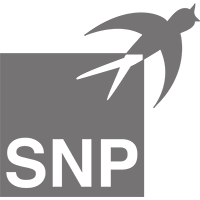 Logo of SNP Schneider-Neureither & Partner SE Logo of SNP Schneider-Neureither & Partner SE