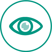 Visualization and reporting