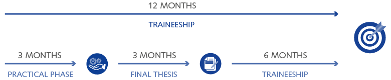 Duration of the trainee program Our trainee program lasts 6 to 12 months.
