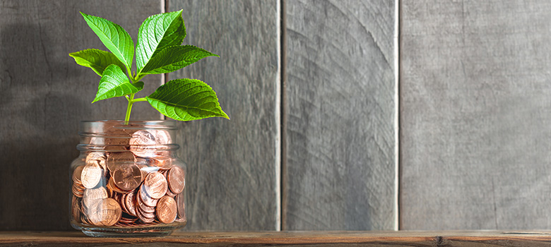 SAP FICO combined with S/4HANA SAP Finance & Controlling