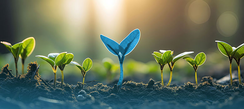 Optimize your SAP Product Lifecycle Management with ORBIS SAP Product Lifecycle Management