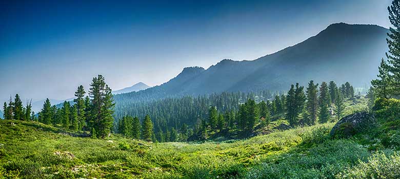 GROW with SAP with the SAP S/4HANA Public Cloud and ORBIS GROW with SAP with the SAP S/4HANA Public Cloud