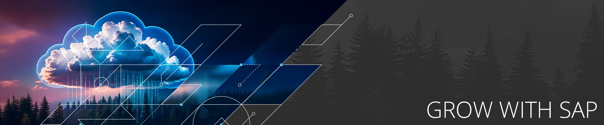 Cloud ERP Virtual Insights: GROW with SAP & Cloud ALM Session 2 GROW with SAP & Cloud ALM