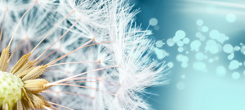 Steigen Sie mit ORBIS jetzt auf SAP S/4HANA, das zukunftsfähige ERP-System, um! Umstellung auf SAP S/4HANA mit ORBIS