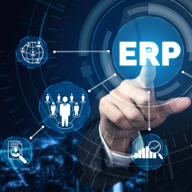 SAP ERP ORBIS France